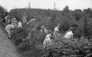 1956_20.7._schulausflug zur hennetalsperre_n_14